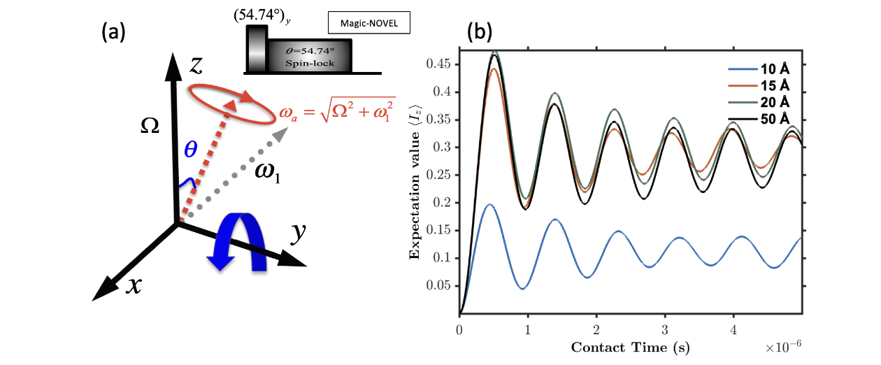 Magic-NOVEL: Suppressing Electron-Electron Coupling Effects in Pulsed DNP